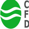 Computational Fluid Dynamics (CFD)